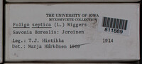 Image Associated With the Occurence